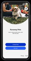 Poster Runaway Pets