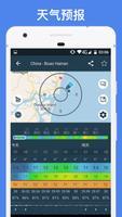 Windy.app 海報