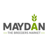 Maydan icône