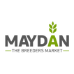 Maydan