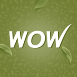 Buywow Online Beauty Shopping