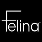 Felina أيقونة