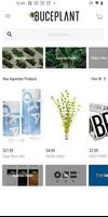 Buce Plant Plakat