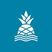 Chubbies Shorts icon