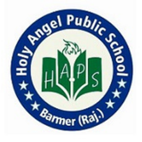 Haps Barmer APK