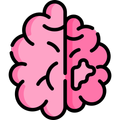 Braincise