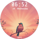 Solara APK