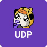 UDP Client icône
