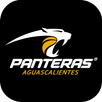 Panteras APK