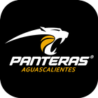 Panteras-icoon