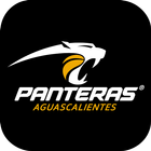 Panteras icono