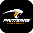 Panteras