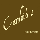 Cambio's Hair icône