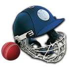Cricket Captain 2014 biểu tượng
