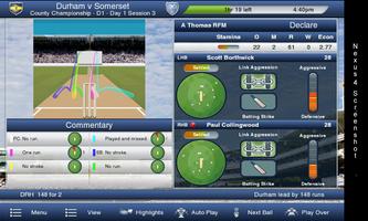 Cricket Captain 2014 постер