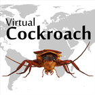 Virtual Cockroach icône