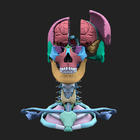 The Brain AR App icône
