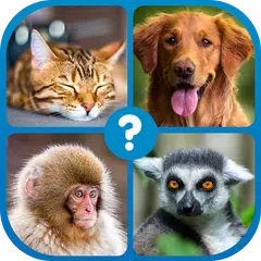 Guess the Word : Word Puzzle Icon