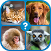 Guess the Word : Word Puzzle