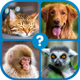 Guess the Word : Word Puzzle APK
