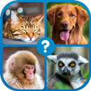 APK Guess the Word : Word Puzzle