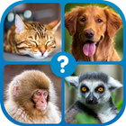 Guess the Word : Word Puzzle أيقونة