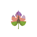 Visit Wellington APK