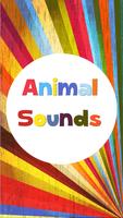 100+ Animal Sounds Affiche