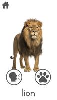 100+ Animal Sounds скриншот 3