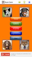 Poster Buon Cane