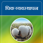 Cotton (KAPUS) VNMKV, Parbhani icône