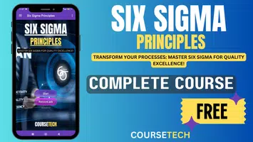 Six Sigma Principles Plakat