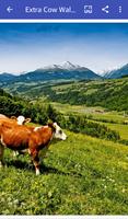 برنامه‌نما imagenes de vacas عکس از صفحه