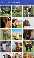 برنامه‌نما imagenes de vacas عکس از صفحه