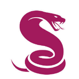 Cobra Football Predictions.