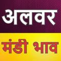Alwar Mandi Bhav