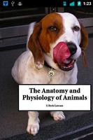 Animal Anatomy and Physiology постер