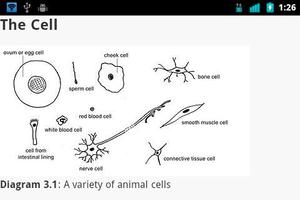 Animal Anatomy and Physiology capture d'écran 1