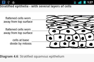 Animal Anatomy and Physiology syot layar 2