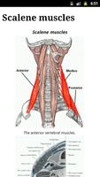 برنامه‌نما Human Anatomy عکس از صفحه