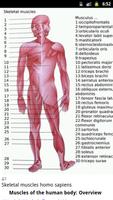 Human Anatomy تصوير الشاشة 3