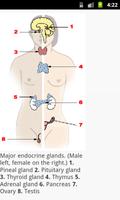 Human Physiology اسکرین شاٹ 2