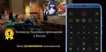 Телевизионный пульт