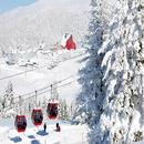 Kayak Merkezleri Kameralari (live ski area) APK