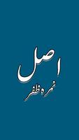 Romantic Urdu Novel Asal poster