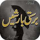 Urdu Novel Barasti Barishein icon
