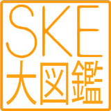 SKE大図鑑 ikon