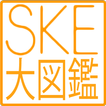 ”SKE大図鑑