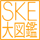 SKE大図鑑 icône