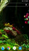 Koliber 4K-filmy tapety screenshot 2